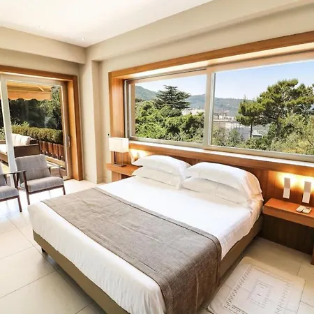 Contemporary Luxury And Ample Space In A Dream *